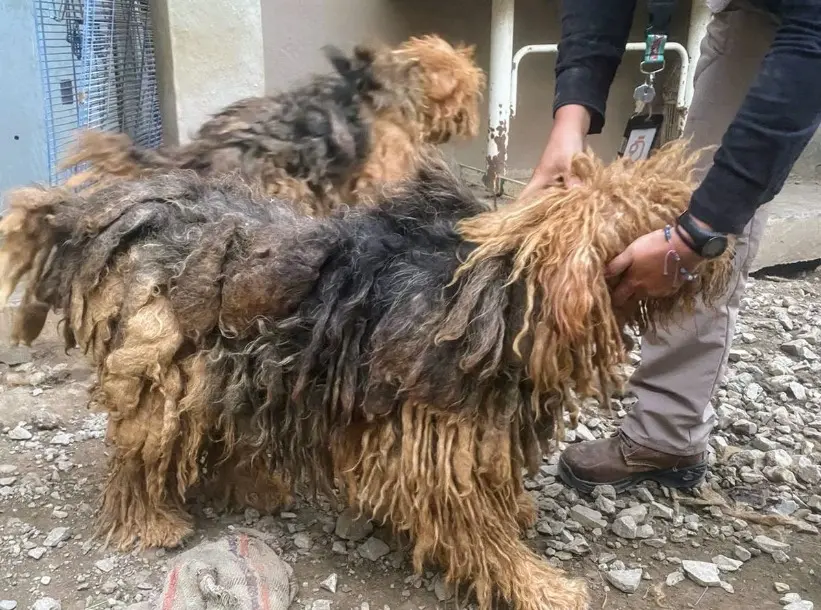 imagen recuadro imagen recuadro