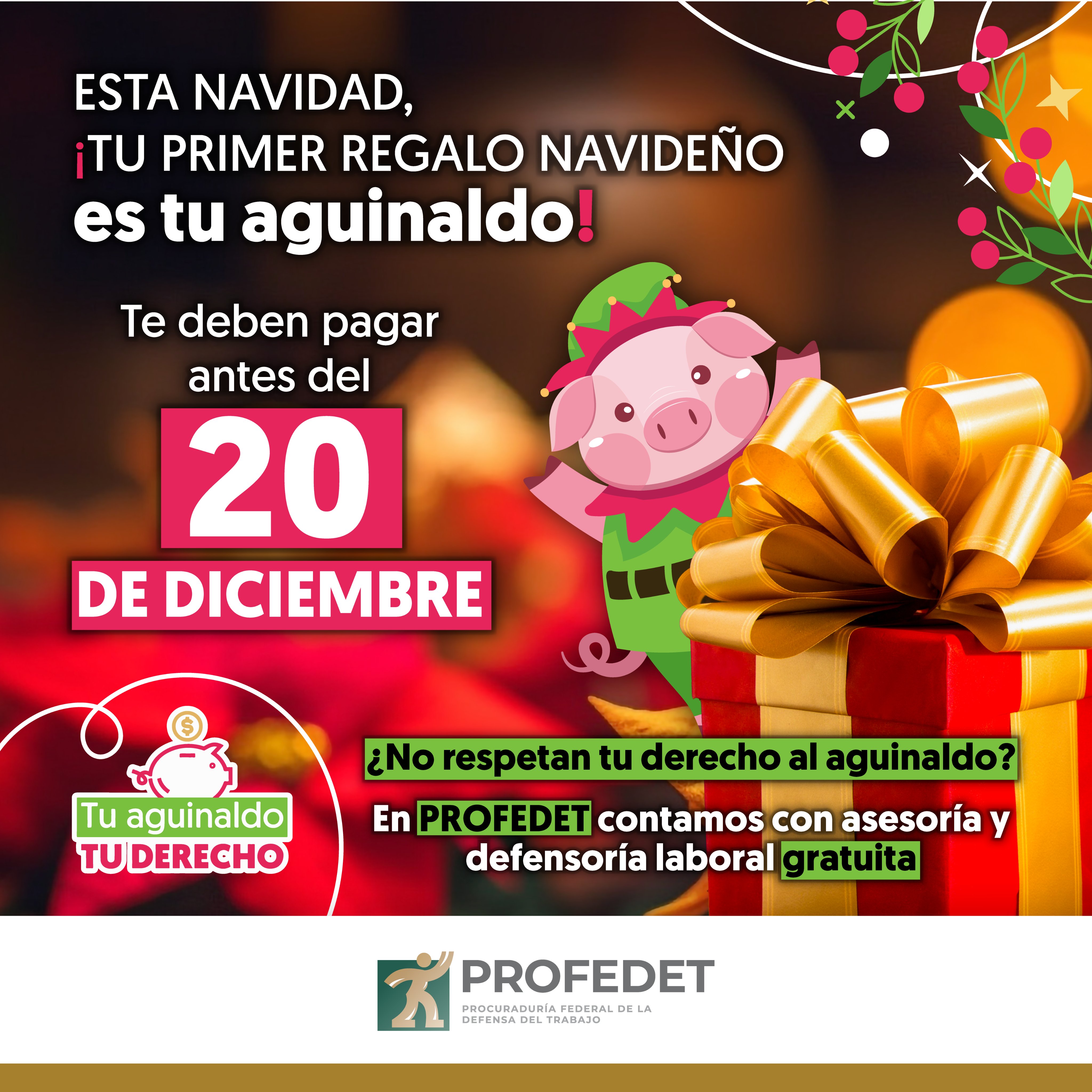 imagen recuadro