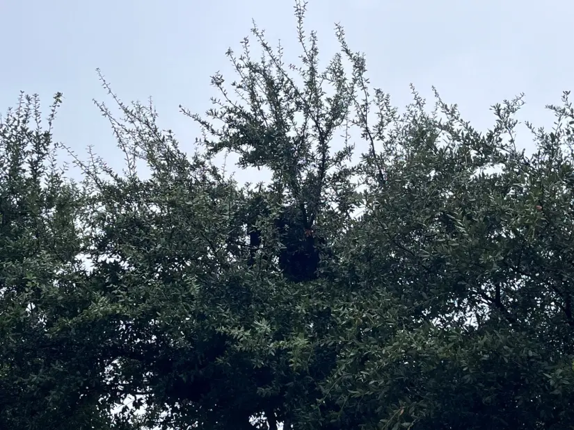 imagen recuadro imagen recuadro