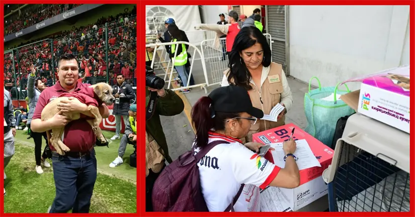 imagen recuadro