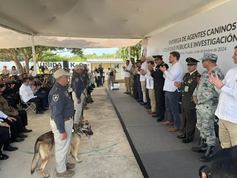 imagen recuadro imagen recuadro