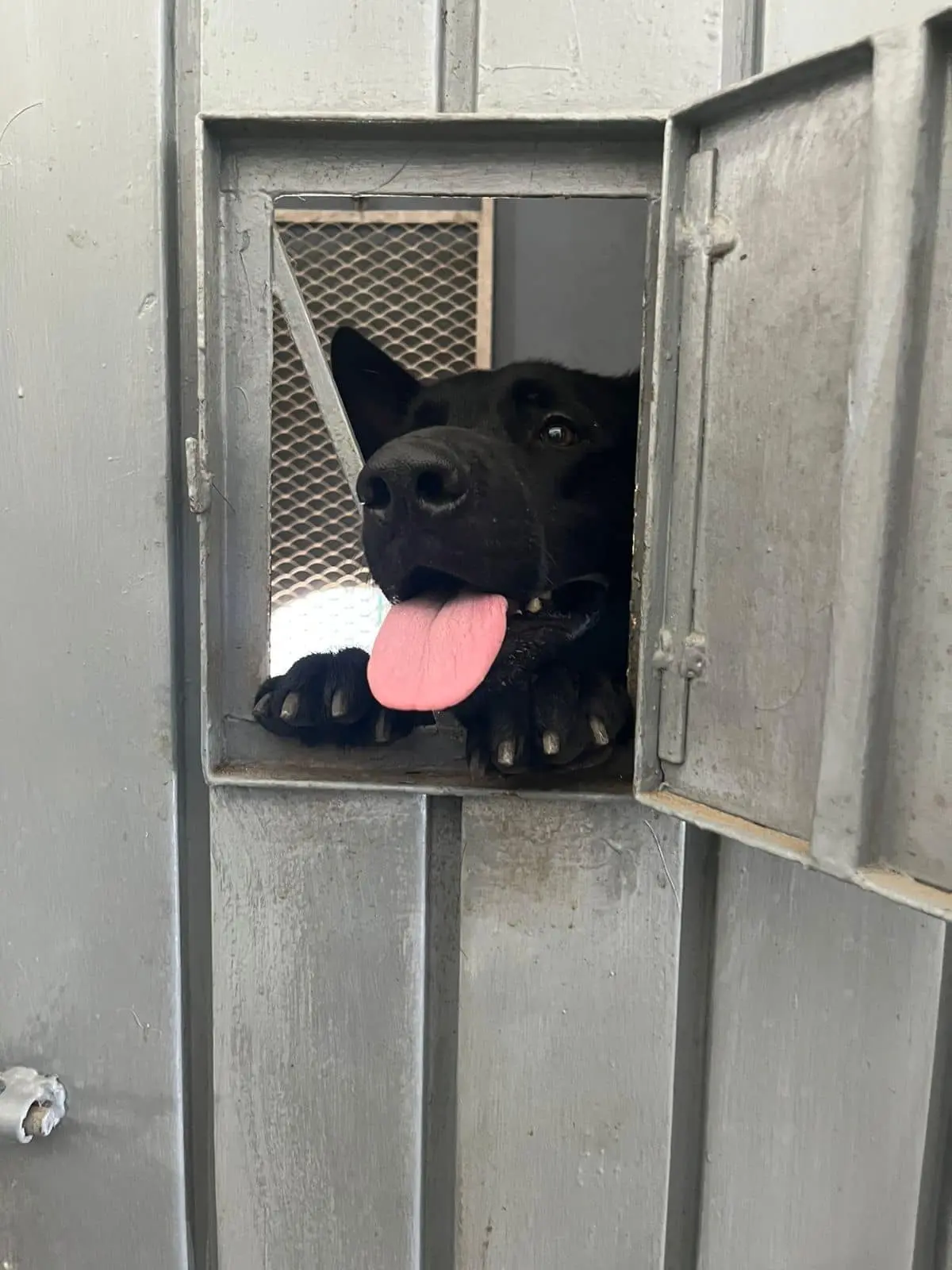 imagen recuadro imagen recuadro