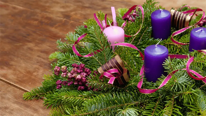 imagen recuadro imagen recuadro