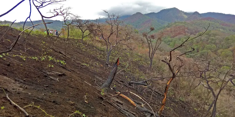 imagen recuadro imagen recuadro