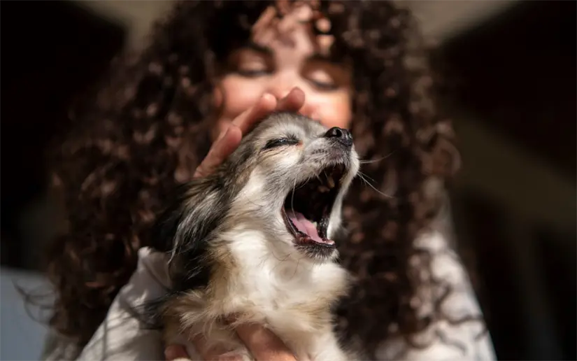 imagen recuadro imagen recuadro