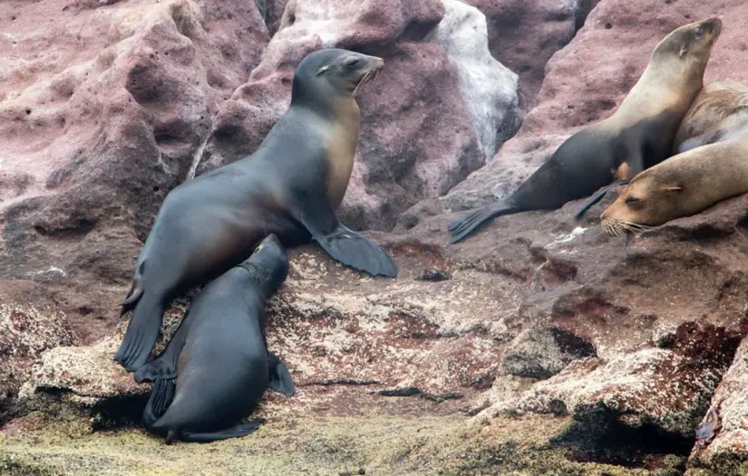 imagen recuadro imagen recuadro