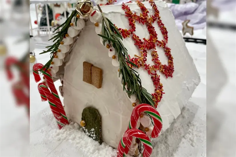 imagen recuadro imagen recuadro