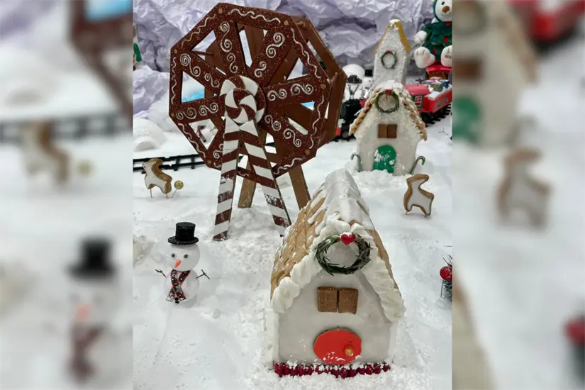 imagen recuadro imagen recuadro