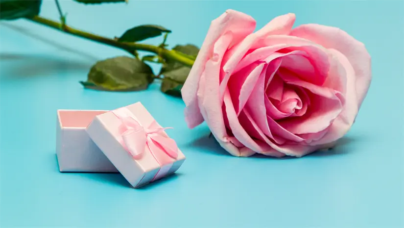 imagen recuadro imagen recuadro