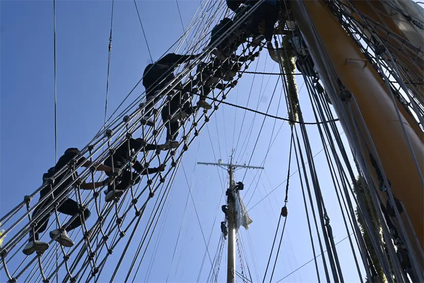 imagen recuadro imagen recuadro