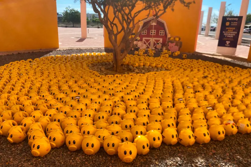 imagen recuadro imagen recuadro