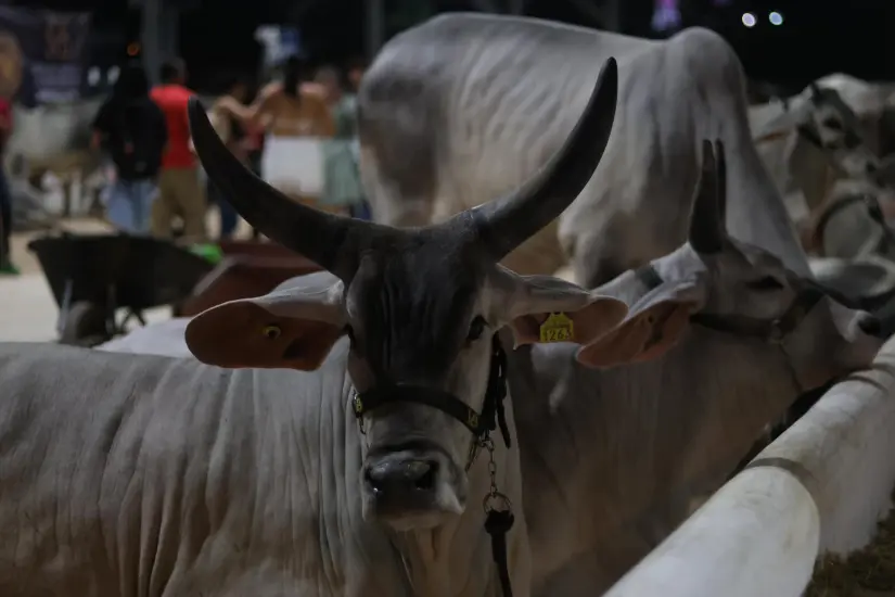 imagen recuadro imagen recuadro