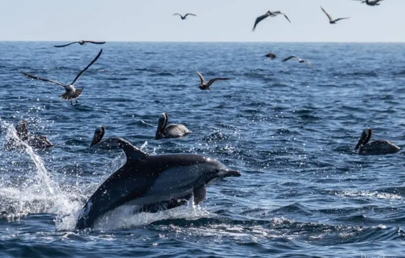 imagen recuadro imagen recuadro