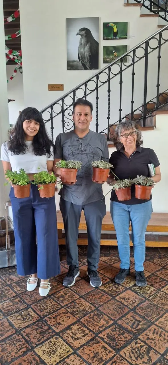 imagen recuadro imagen recuadro