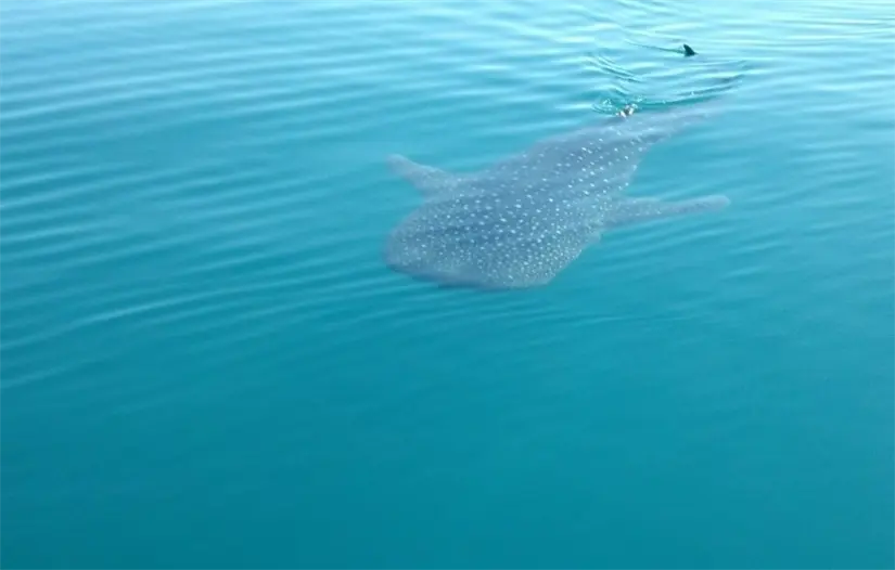 imagen recuadro imagen recuadro