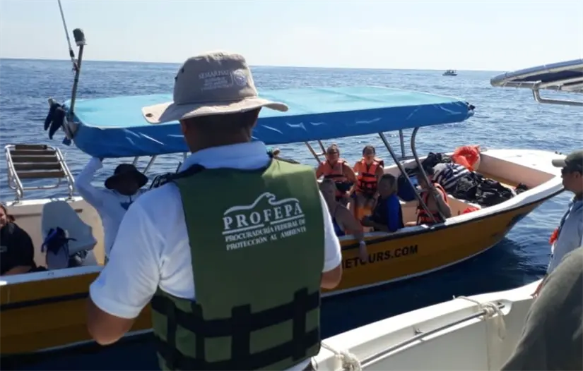 imagen recuadro imagen recuadro