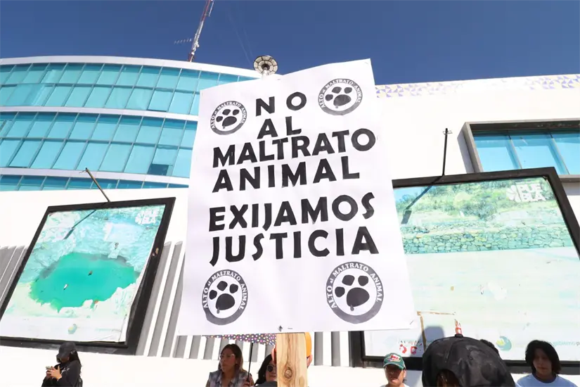 imagen recuadro imagen recuadro