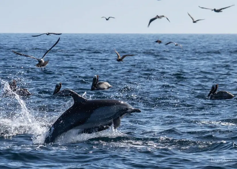 imagen recuadro imagen recuadro