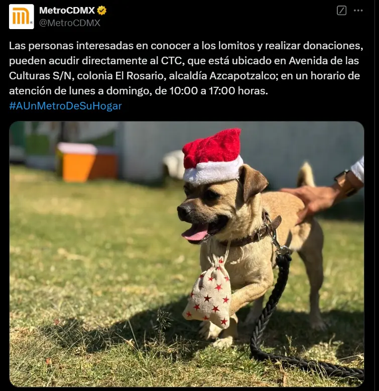 imagen recuadro