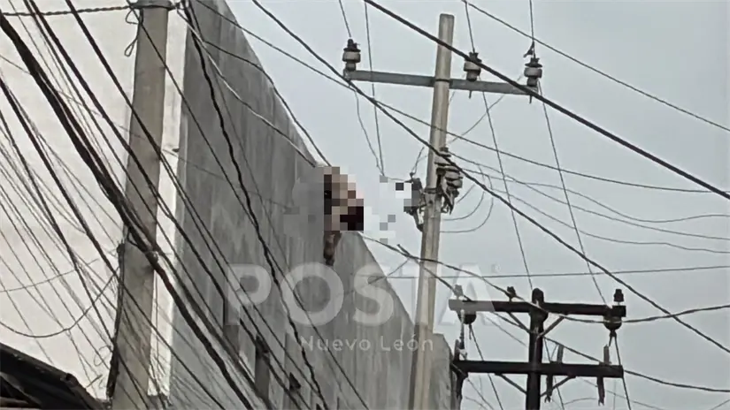 imagen recuadro imagen recuadro