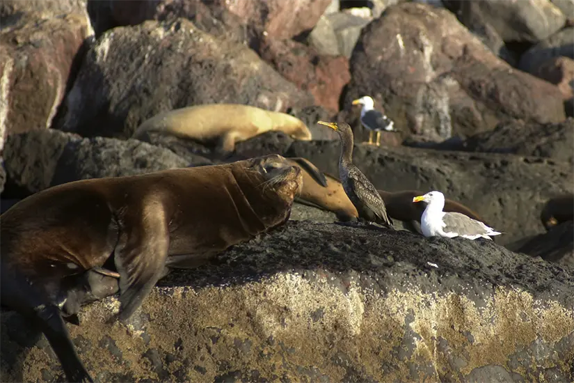 imagen recuadro imagen recuadro