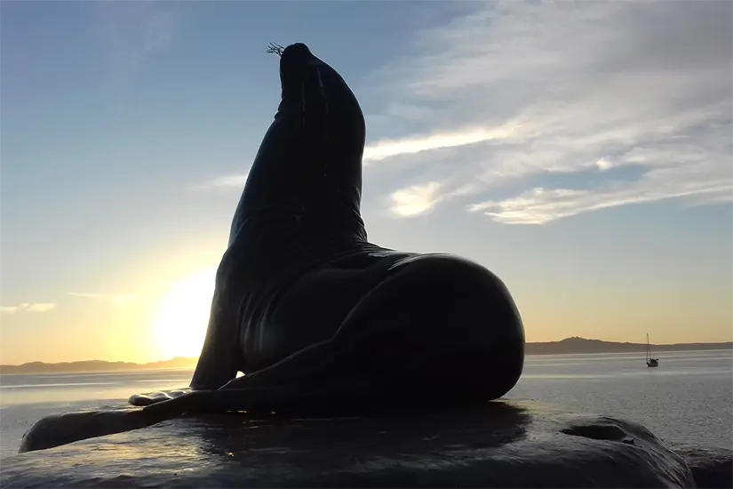 imagen recuadro imagen recuadro