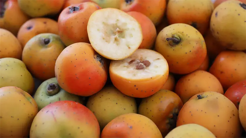 imagen recuadro imagen recuadro