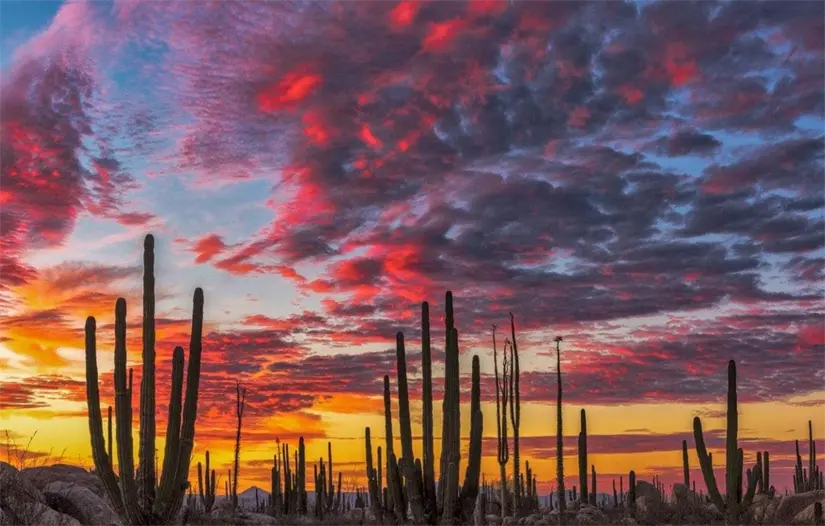 imagen recuadro imagen recuadro