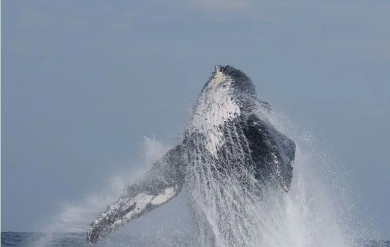 imagen recuadro imagen recuadro