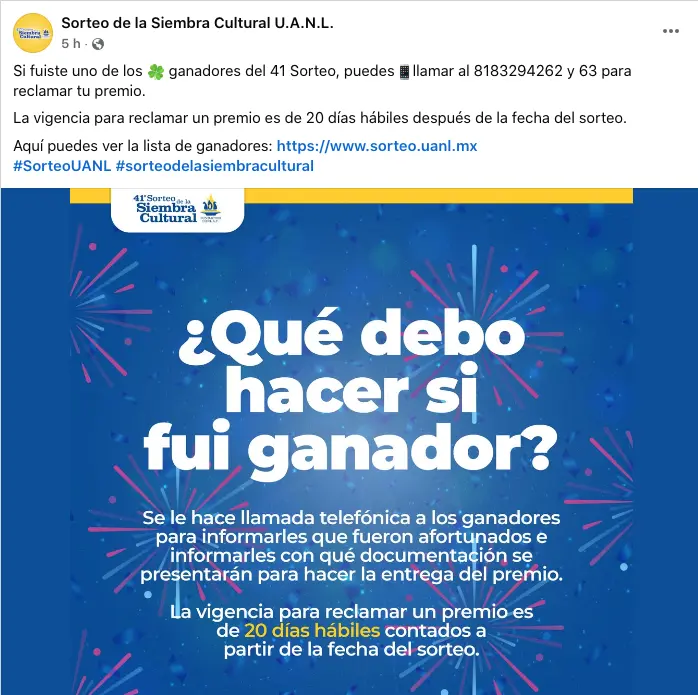 imagen recuadro