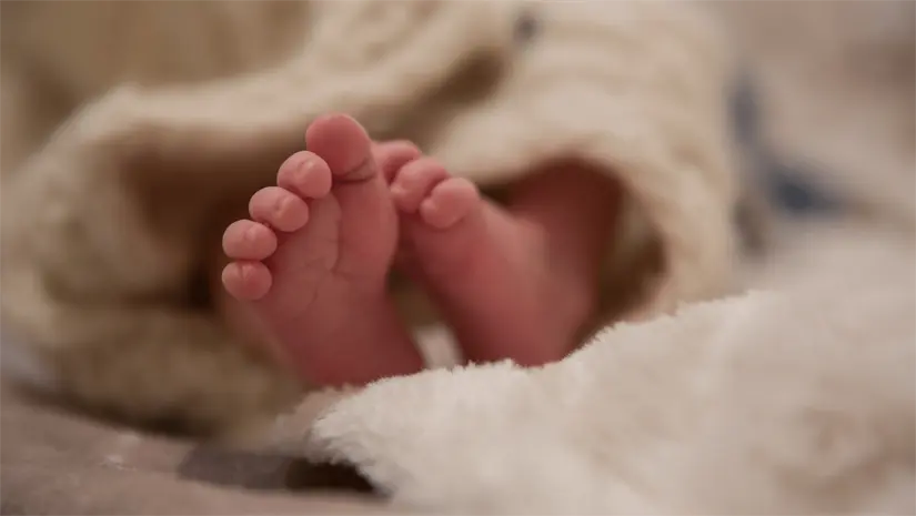 imagen recuadro imagen recuadro