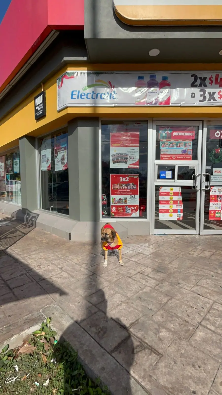 imagen recuadro imagen recuadro