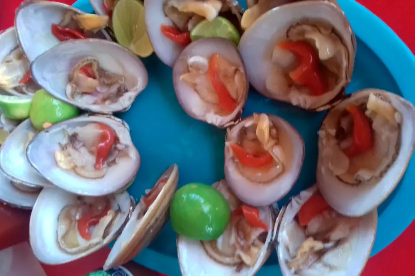 imagen recuadro imagen recuadro