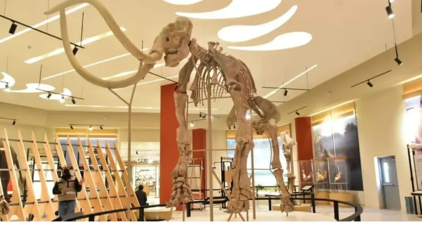 imagen recuadro imagen recuadro