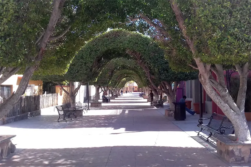 imagen recuadro imagen recuadro