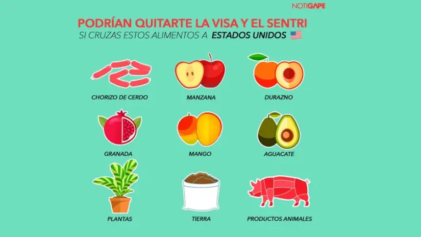 imagen recuadro imagen recuadro