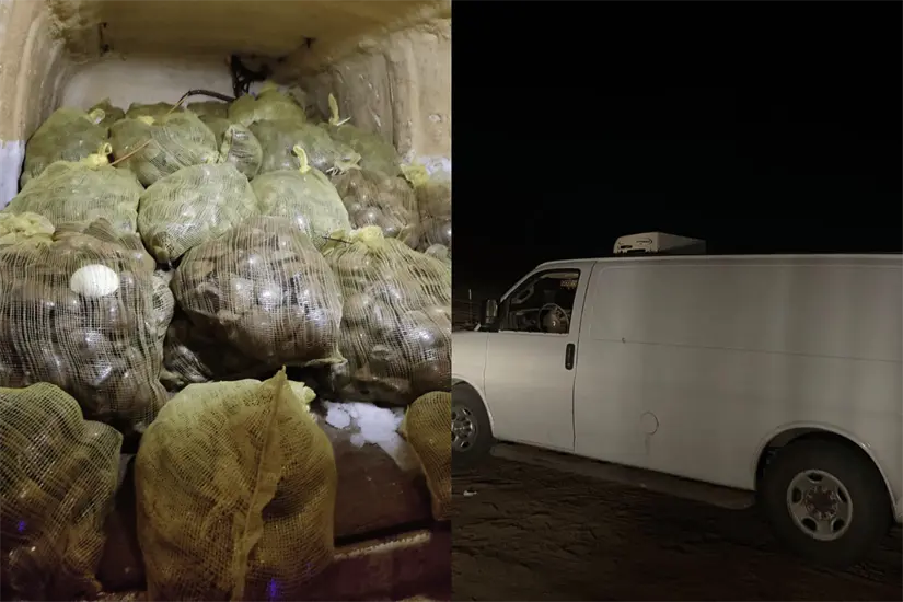 imagen recuadro imagen recuadro