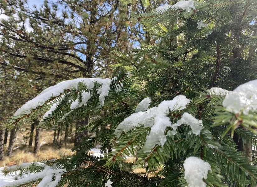 imagen recuadro imagen recuadro