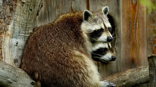 imagen recuadro imagen recuadro