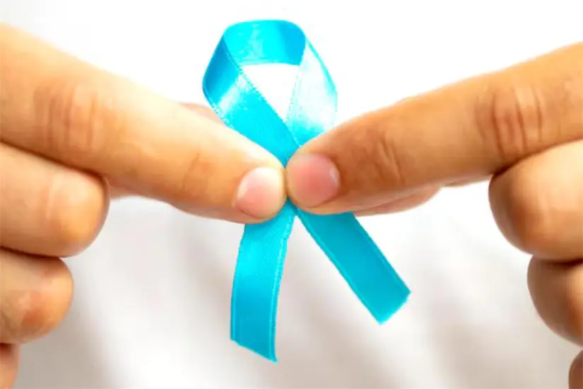 imagen recuadro imagen recuadro