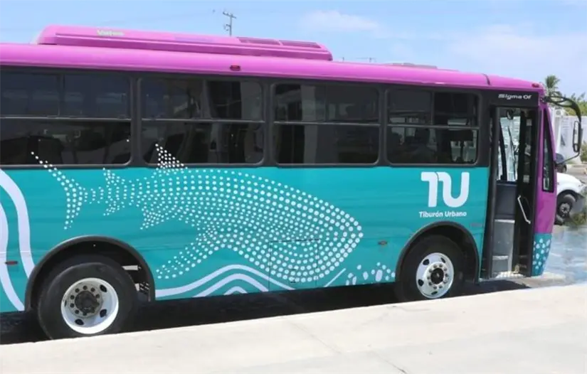 imagen recuadro imagen recuadro