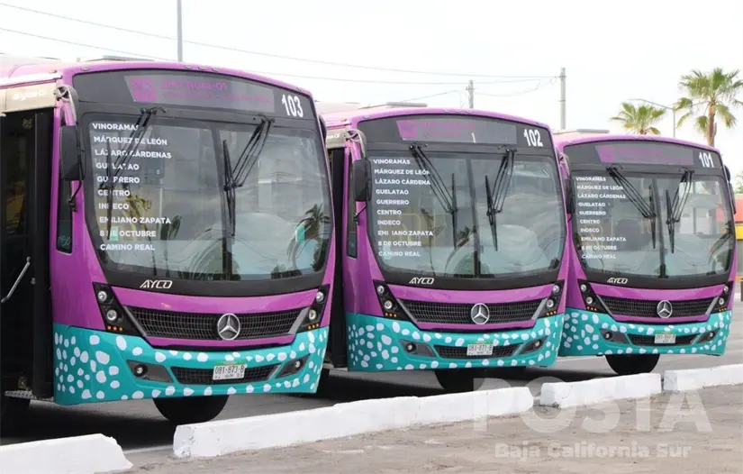 imagen recuadro imagen recuadro