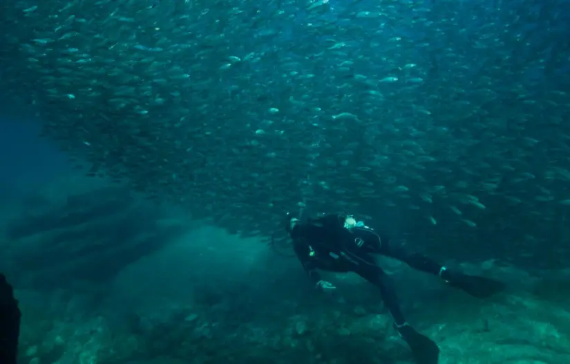 imagen recuadro imagen recuadro