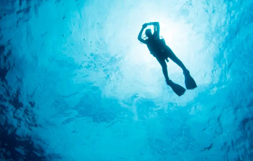 imagen recuadro imagen recuadro