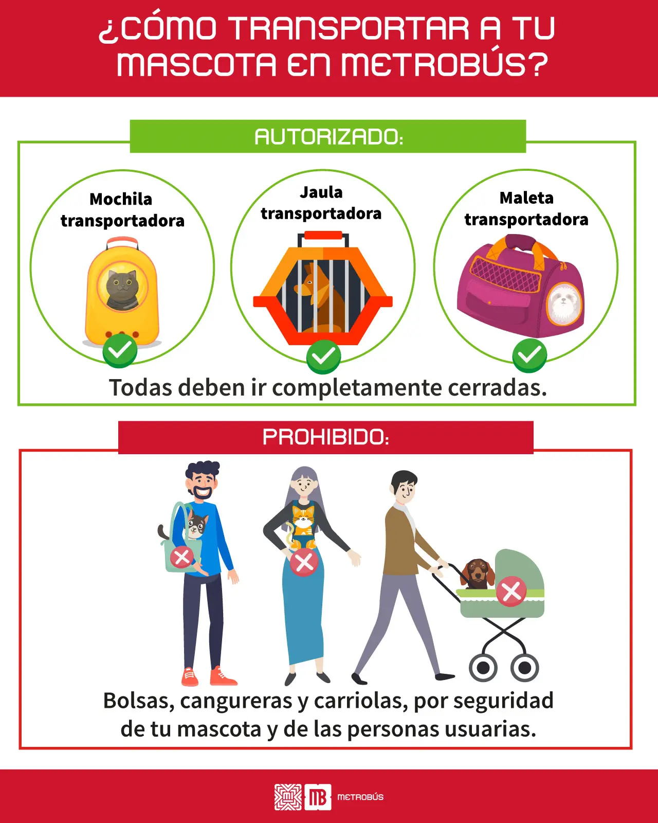 imagen recuadro imagen recuadro