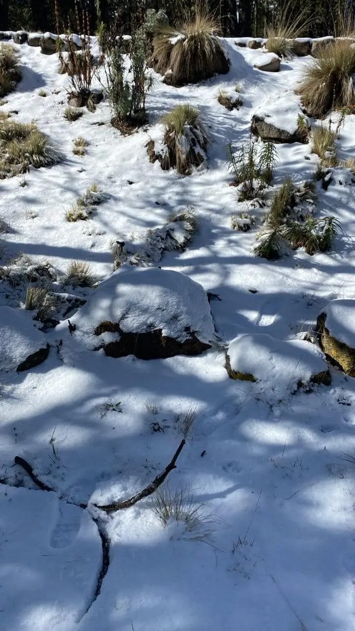 imagen recuadro imagen recuadro