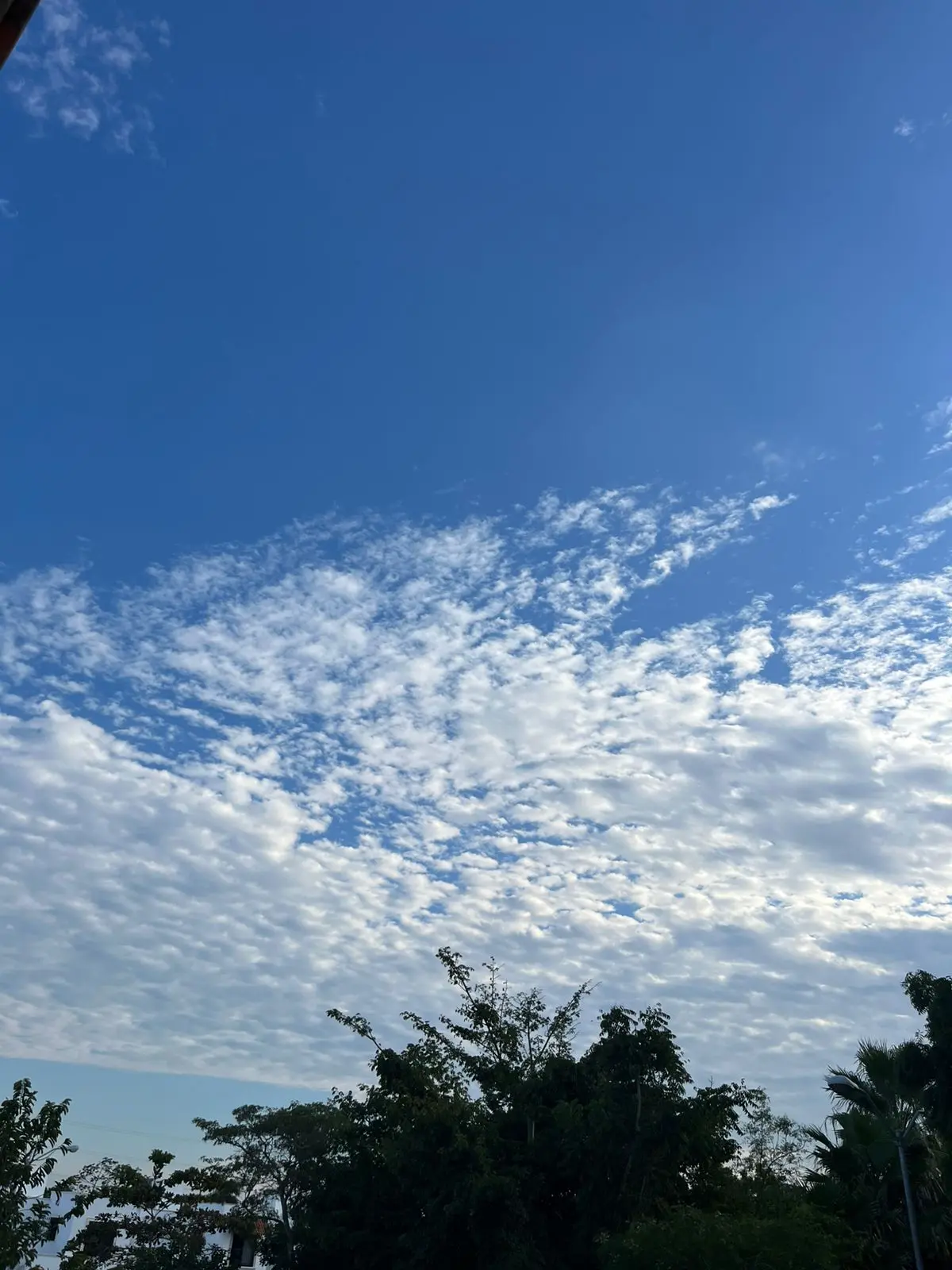 imagen recuadro imagen recuadro