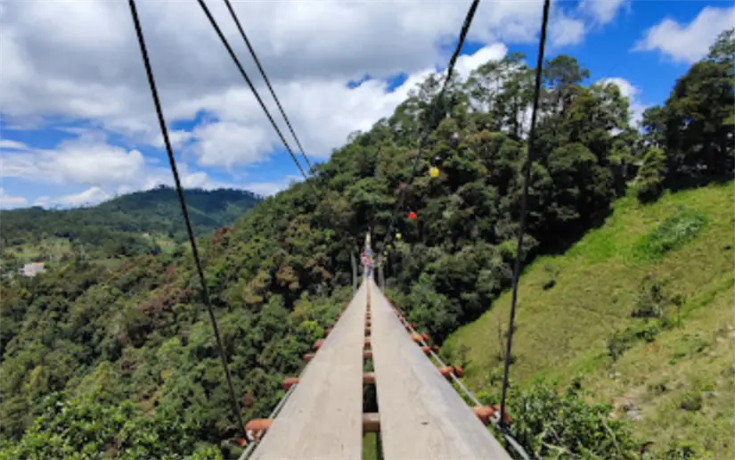 imagen recuadro imagen recuadro