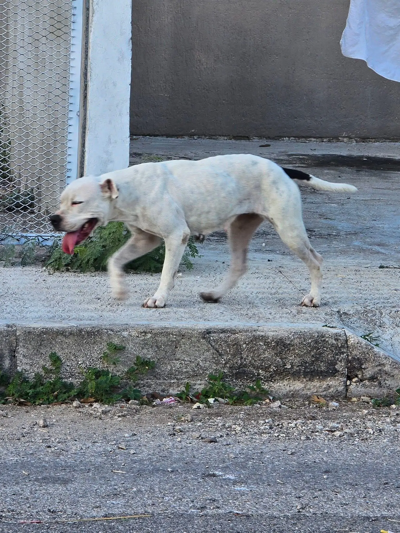 imagen recuadro imagen recuadro