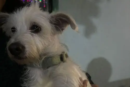 imagen recuadro imagen recuadro